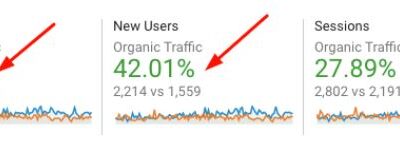 Comprehensive eCommerce SEO Case Study for Online Furniture Store – Rainforest Italy